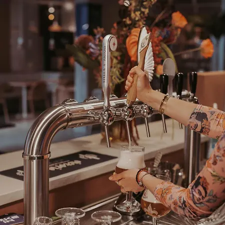 Hotel Ibis Budget Centrum Dampoort Ghent